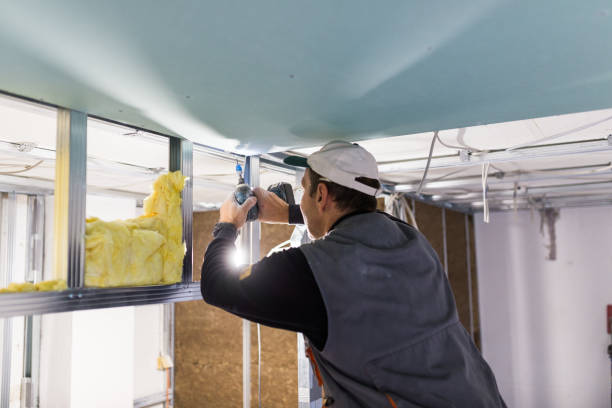 Best Insulation Installation Services in Madisonville, TN