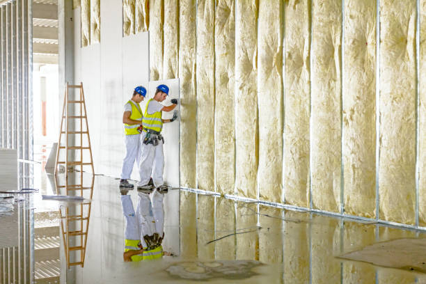 Best Insulation Installation Services in Madisonville, TN